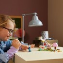 Visuel enfant Gouter anniversaire Lico Lego Animal Crossing Réunion