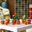 Photo plantes miniatures Lego Botanique Jouets Réunion