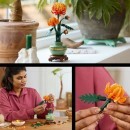 Photos d'illustration Le Crysantheme Lego Botanique Jouets Réunion